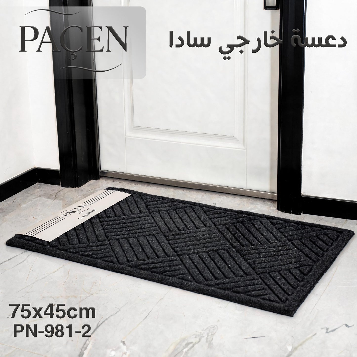 Paçen Outdoor Door Mat – Simple Black Design 75x45CM